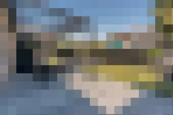 Bosrand 85 Geldrop thumbnail 45