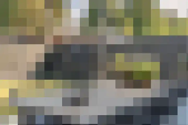 Bosrand 85 Geldrop thumbnail 46