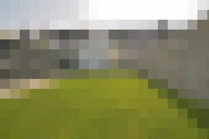 Bosrand 85 Geldrop thumbnail 50