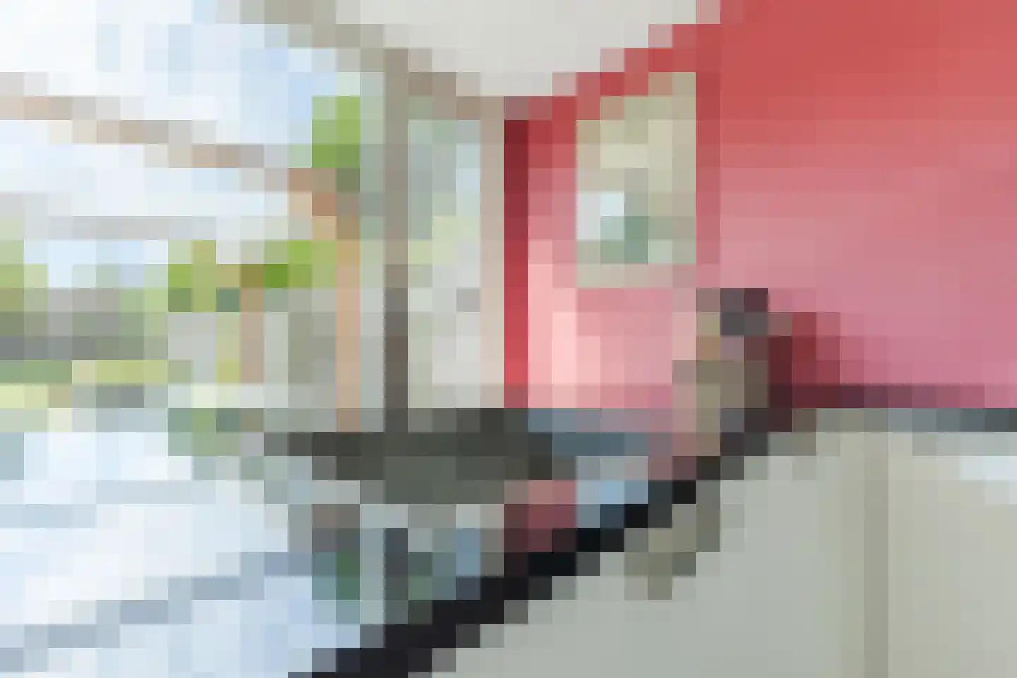 Bosrand 98 Geldrop thumbnail 15