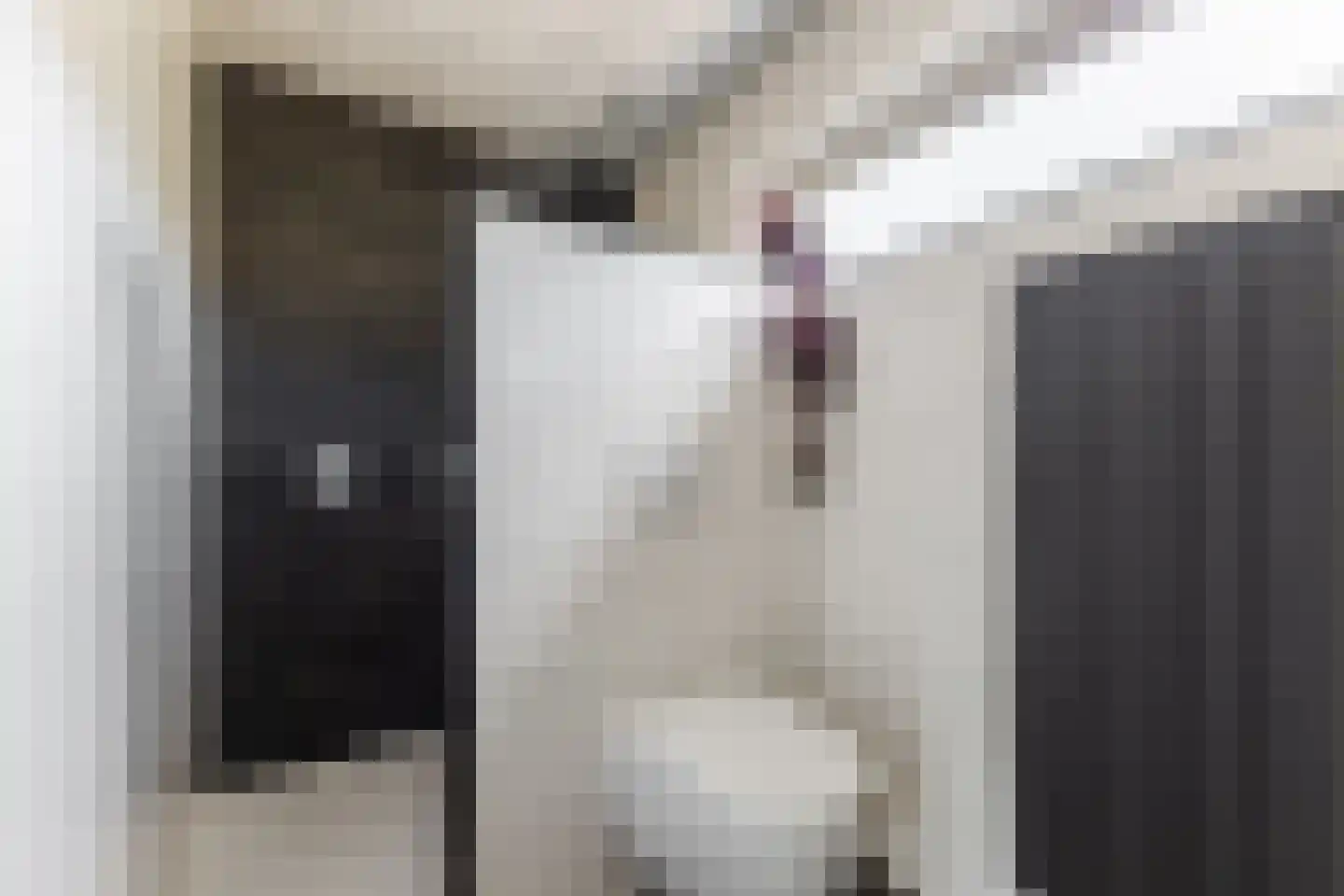 Bosrand 98 Geldrop thumbnail 31