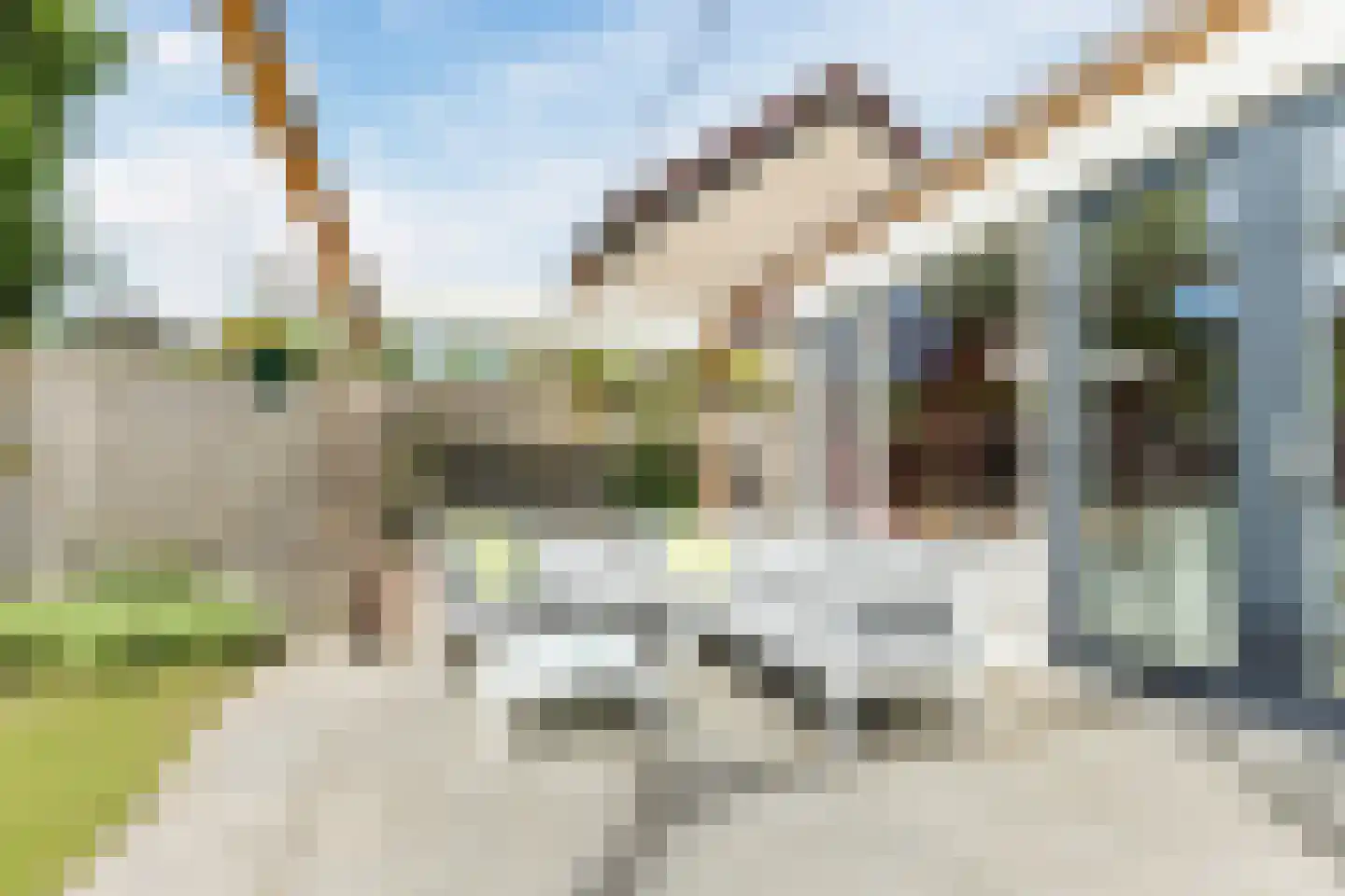 Bosrand 98 Geldrop thumbnail 42