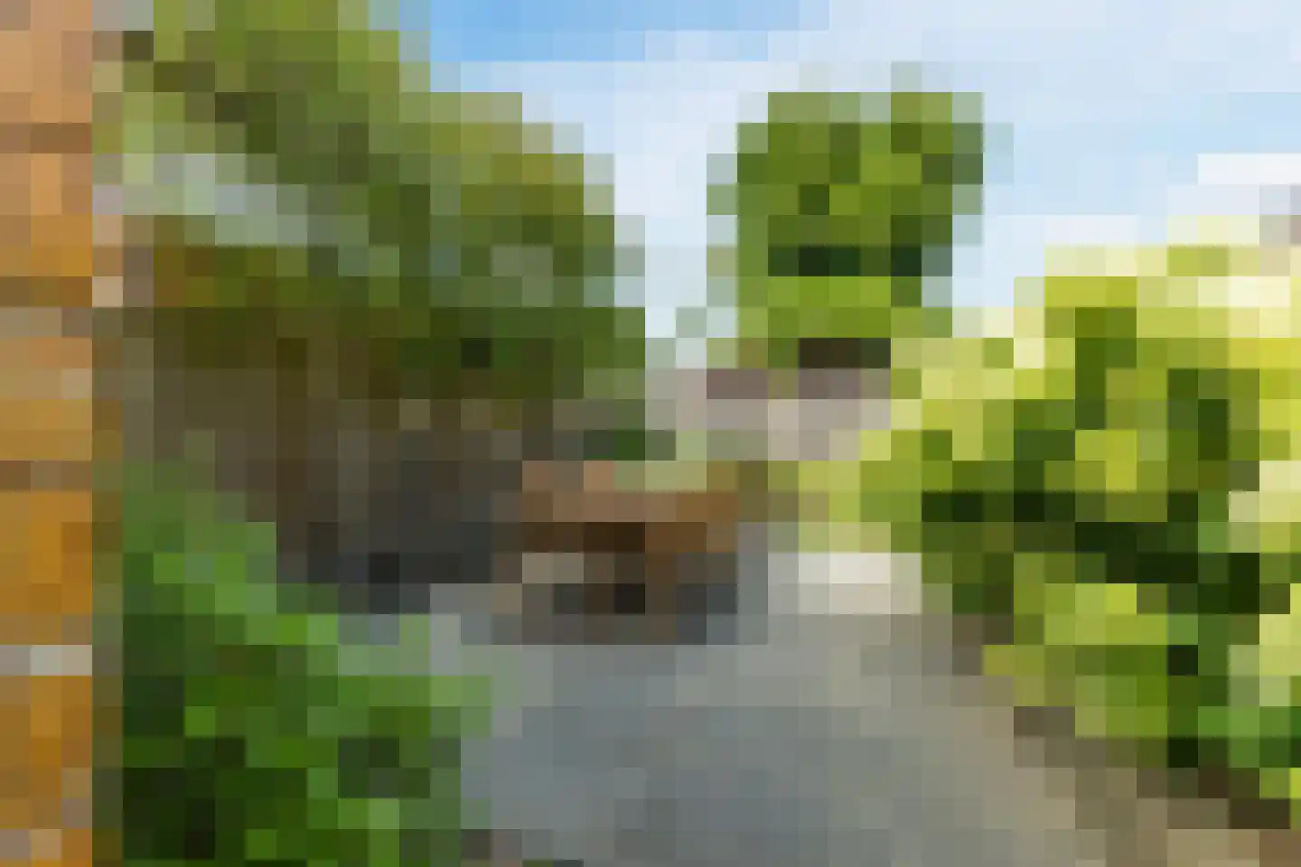 Bosrand 98 Geldrop thumbnail 46
