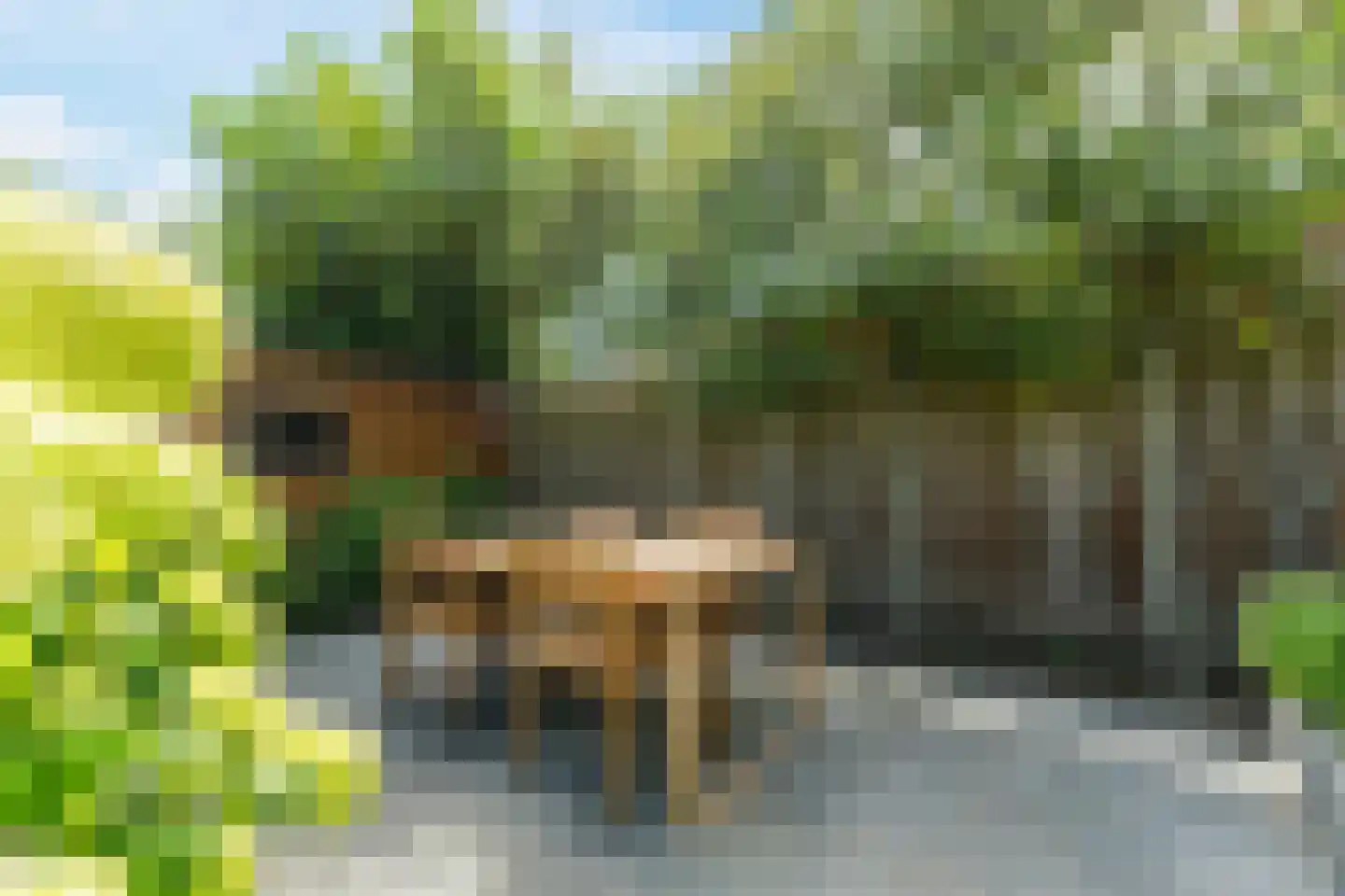 Bosrand 98 Geldrop thumbnail 47