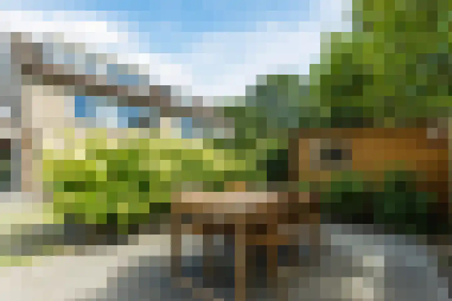 Bosrand 98 Geldrop thumbnail 48