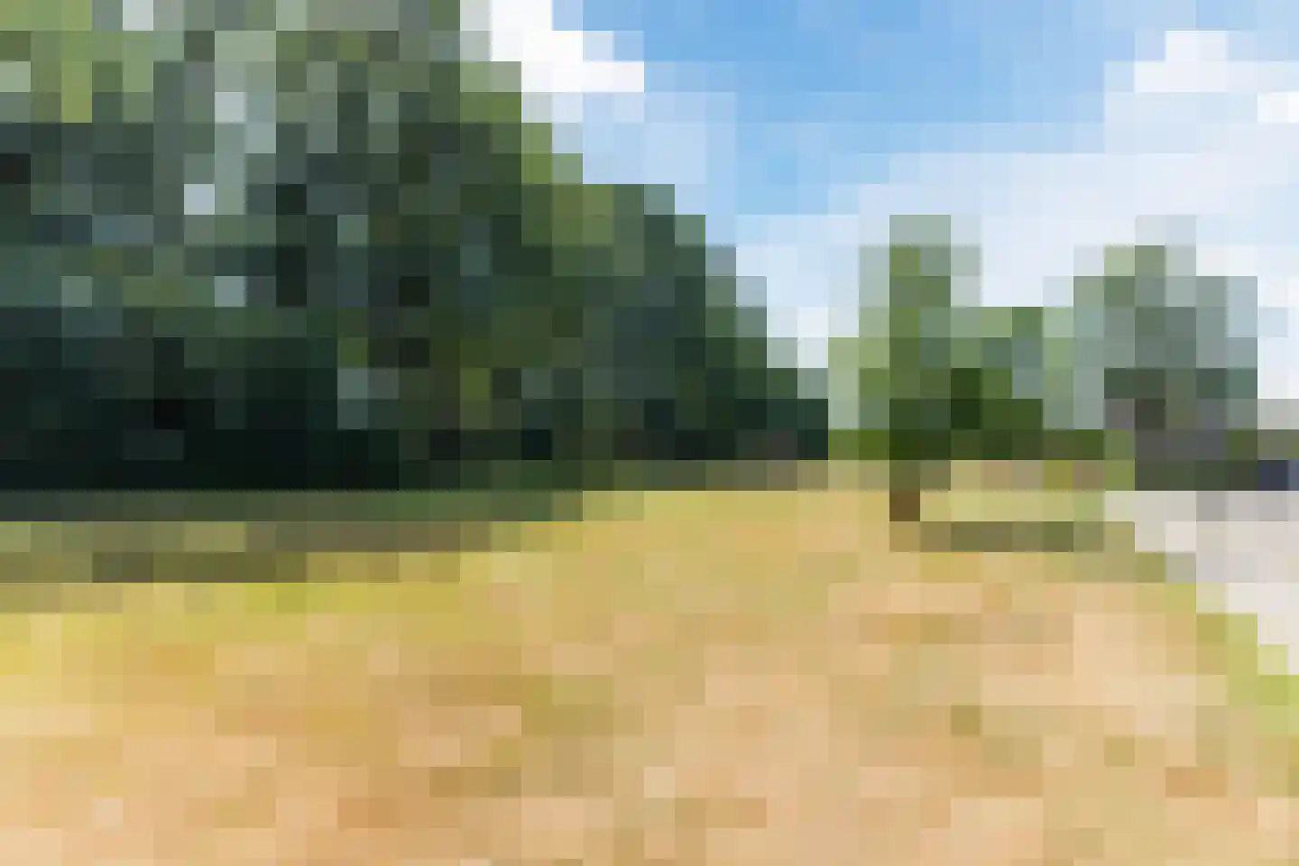 Bosrand 98 Geldrop thumbnail 53