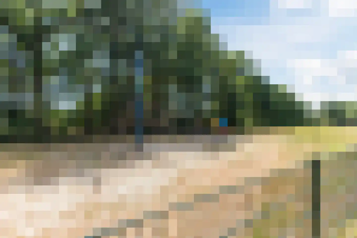 Bosrand 98 Geldrop thumbnail 54