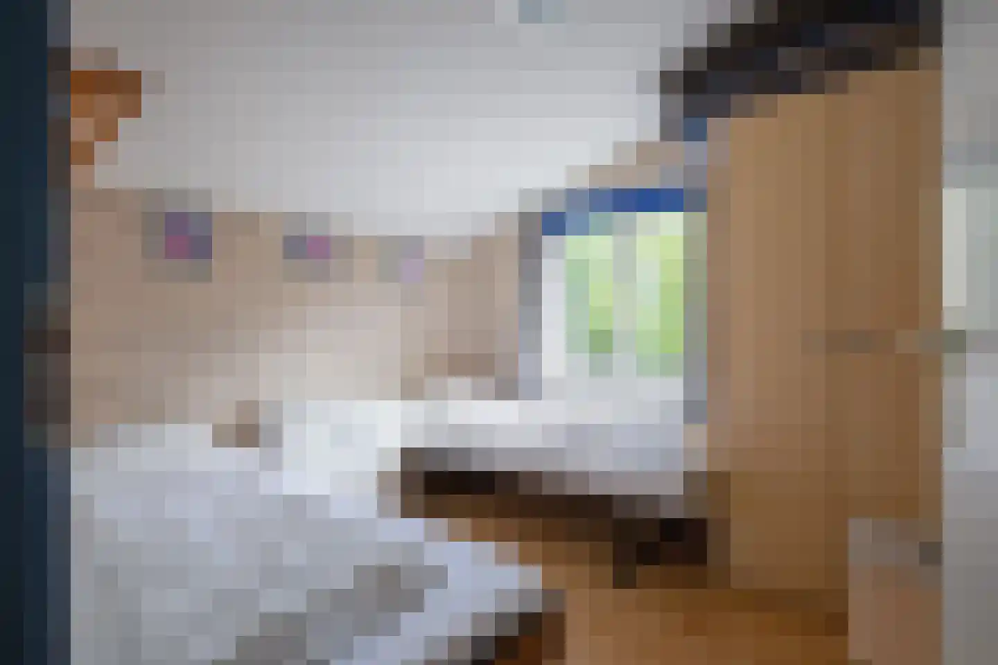 Bosrandweg 265 20 De Koog thumbnail 17