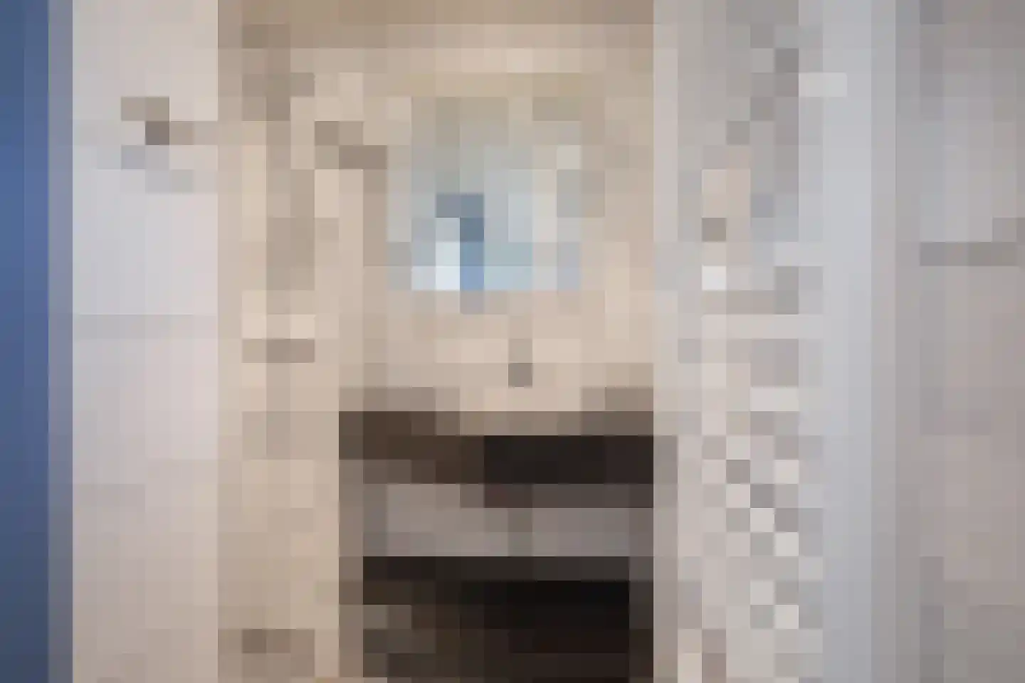 Bosrandweg 265 20 De Koog thumbnail 18