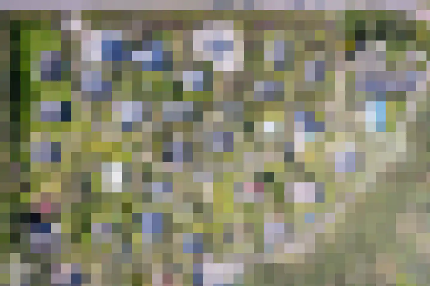 Bosrandweg 265 20 De Koog thumbnail 20