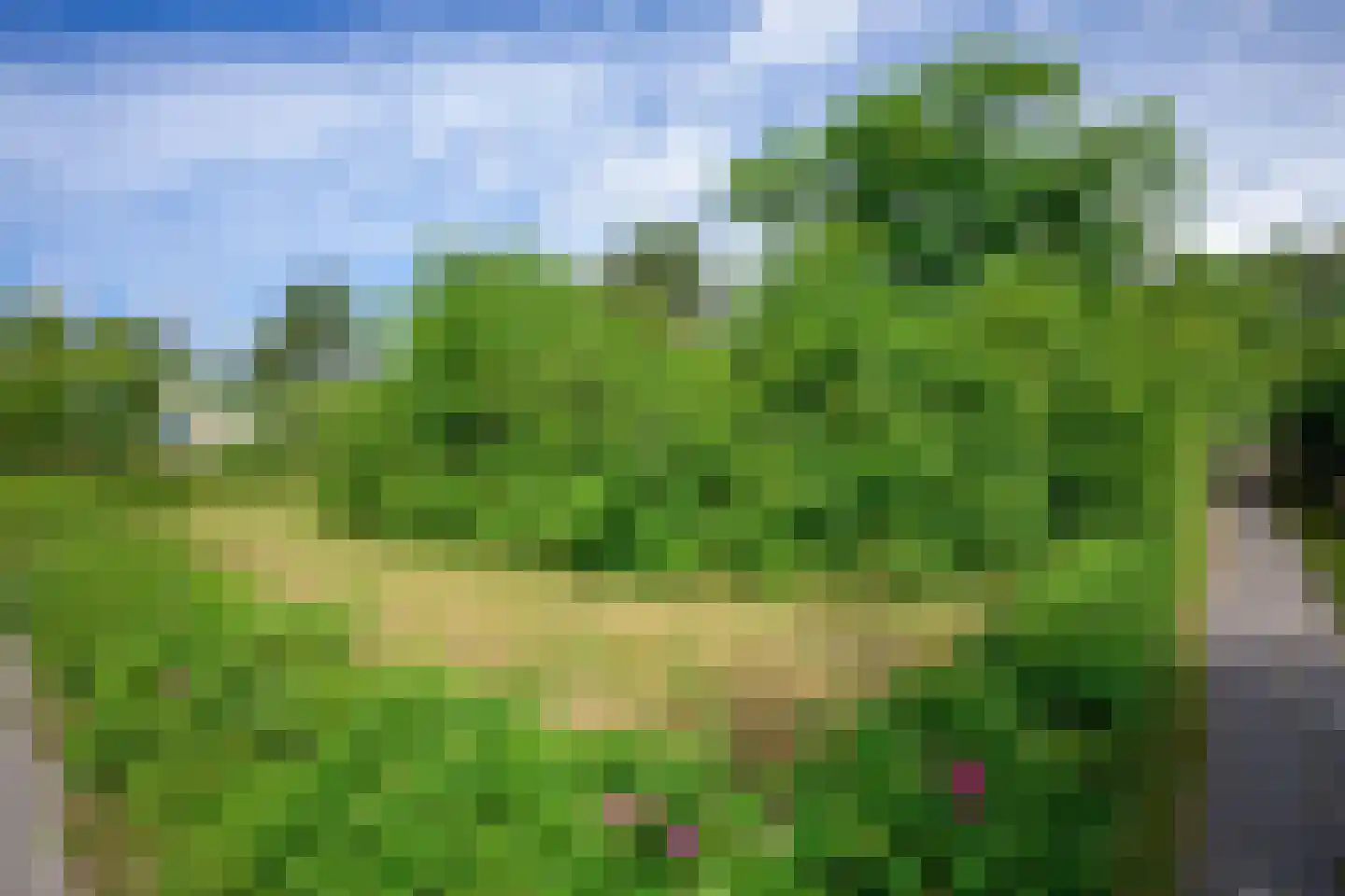 Bosrandweg 265 20 De Koog thumbnail 22