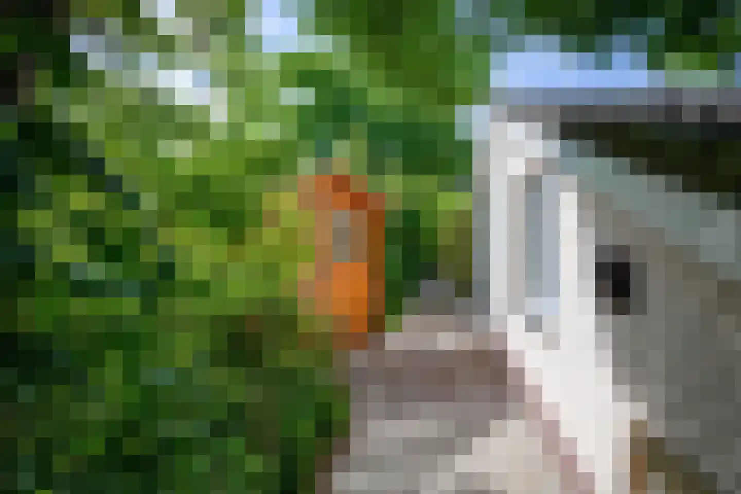 Bosrandweg 265 20 De Koog thumbnail 28