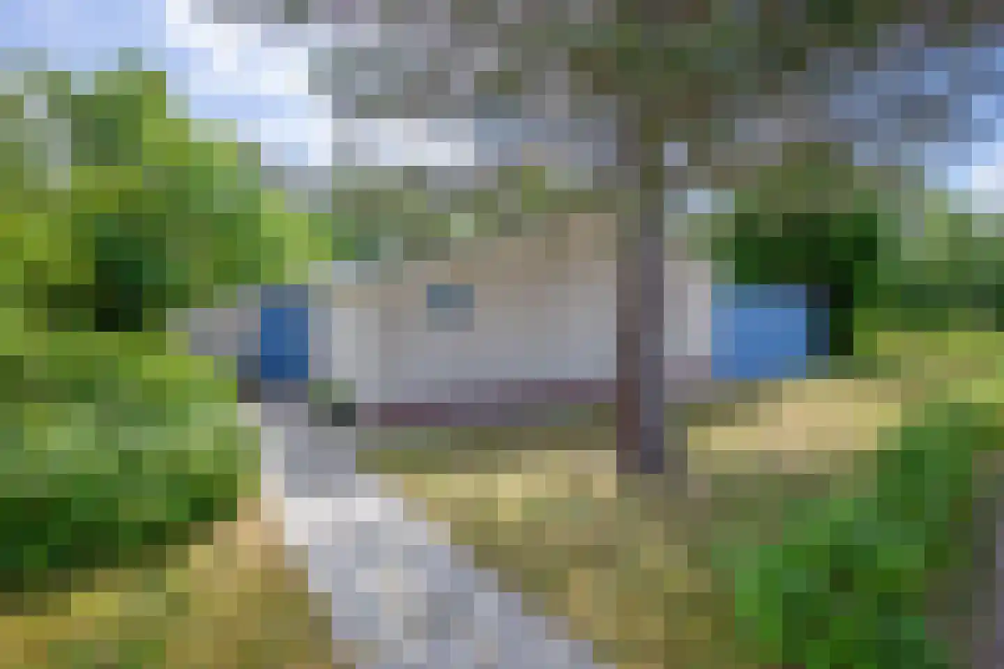 Bosrandweg 265 20 De Koog thumbnail 29