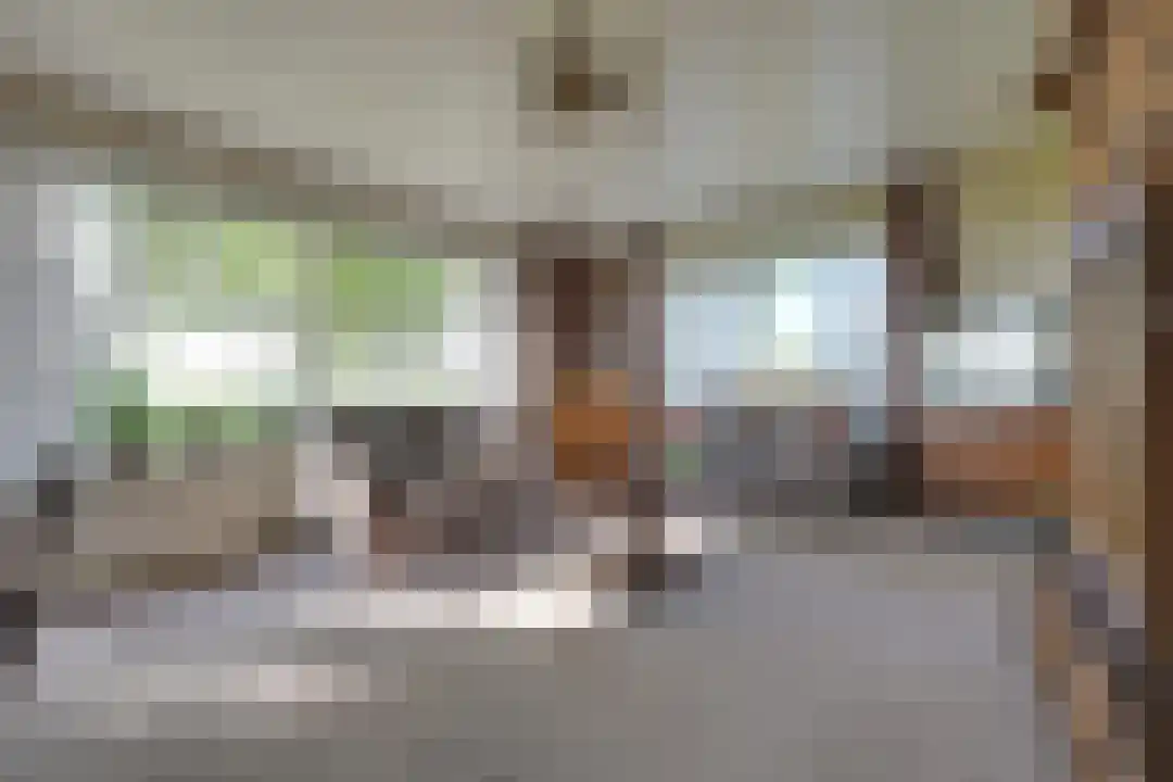 Bosrandweg 27 Schoorl thumbnail 10