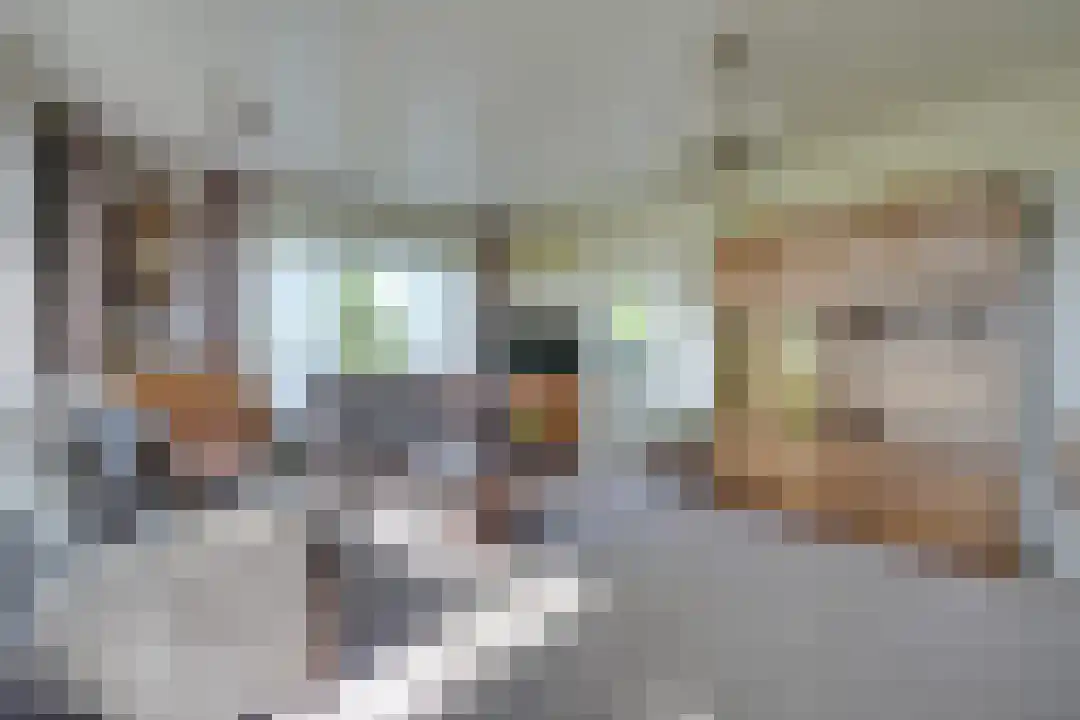 Bosrandweg 27 Schoorl thumbnail 15