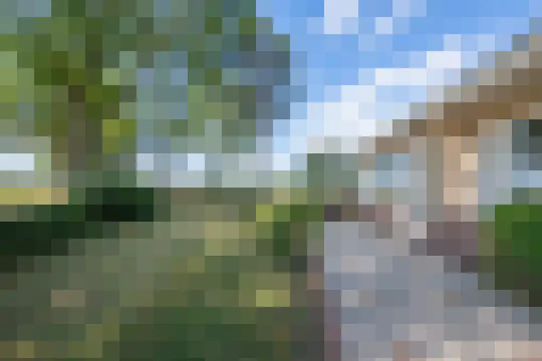 Bosrandweg 27 Schoorl thumbnail 20
