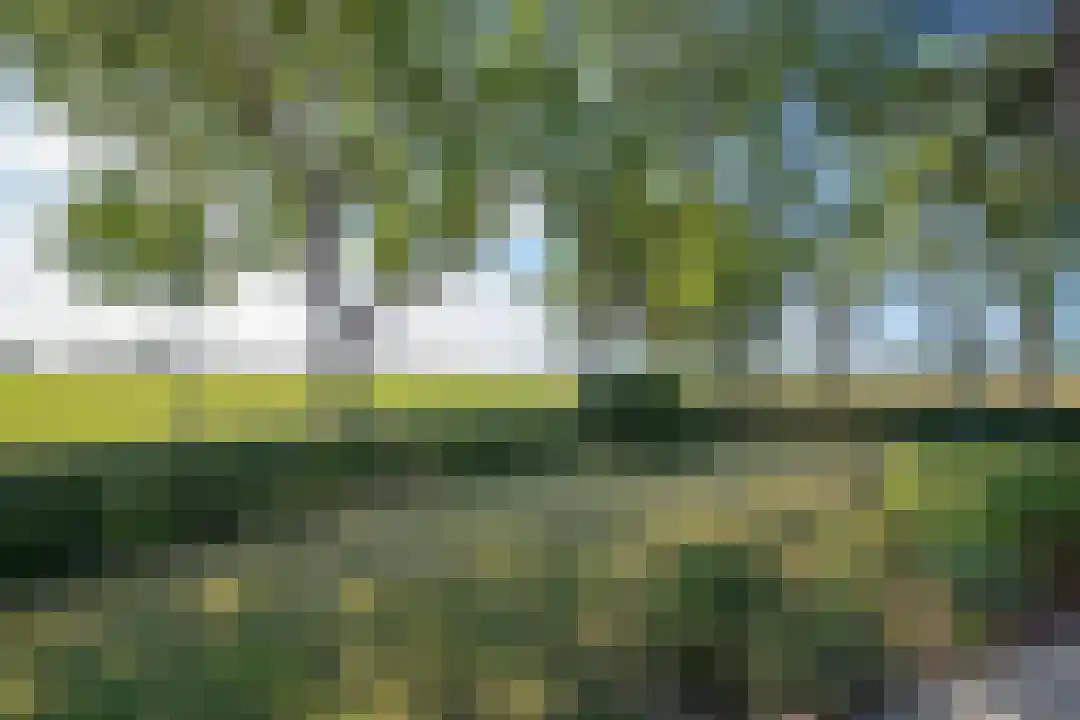 Bosrandweg 27 Schoorl thumbnail 21