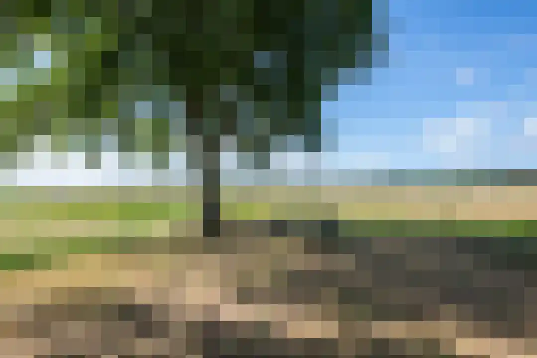 Bosrandweg 27 Schoorl thumbnail 22