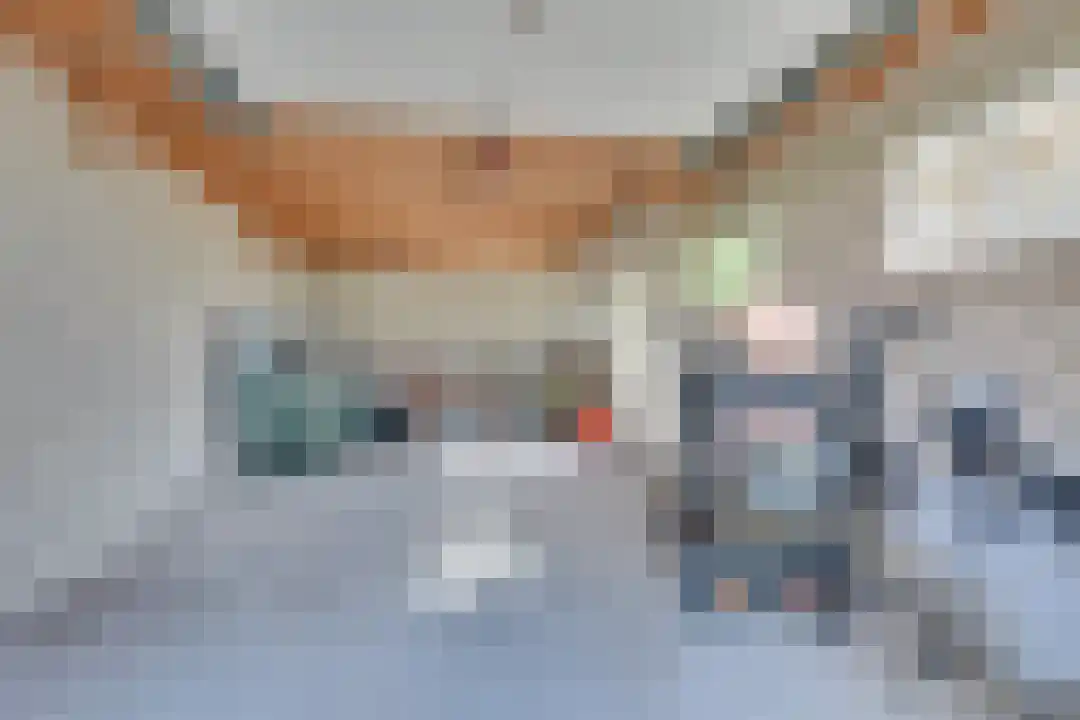 Bosrandweg 27 Schoorl thumbnail 23