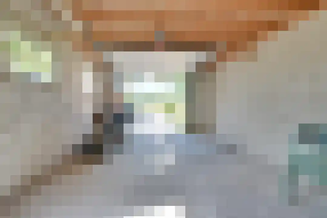 Bosrandweg 27 Schoorl thumbnail 24