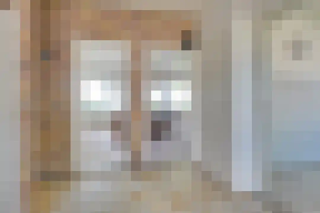 Bosrandweg 27 Schoorl thumbnail 26