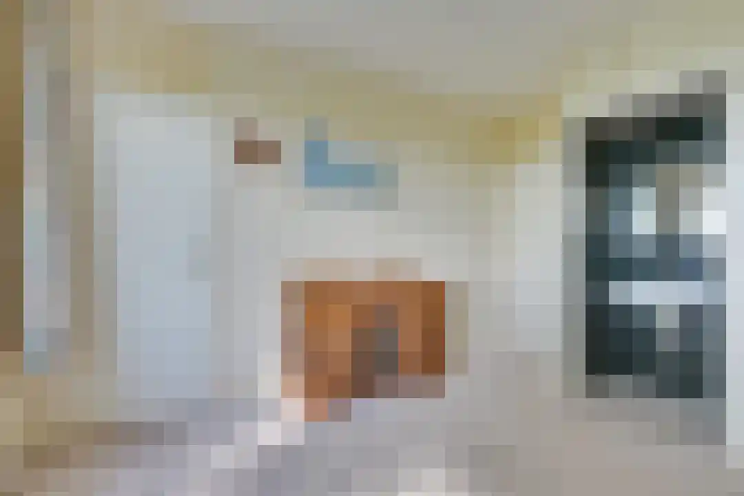 Bosrandweg 27 Schoorl thumbnail 29