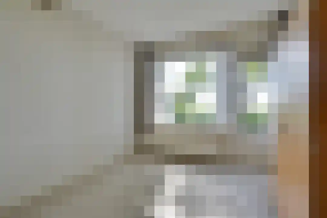 Bosrandweg 27 Schoorl thumbnail 31