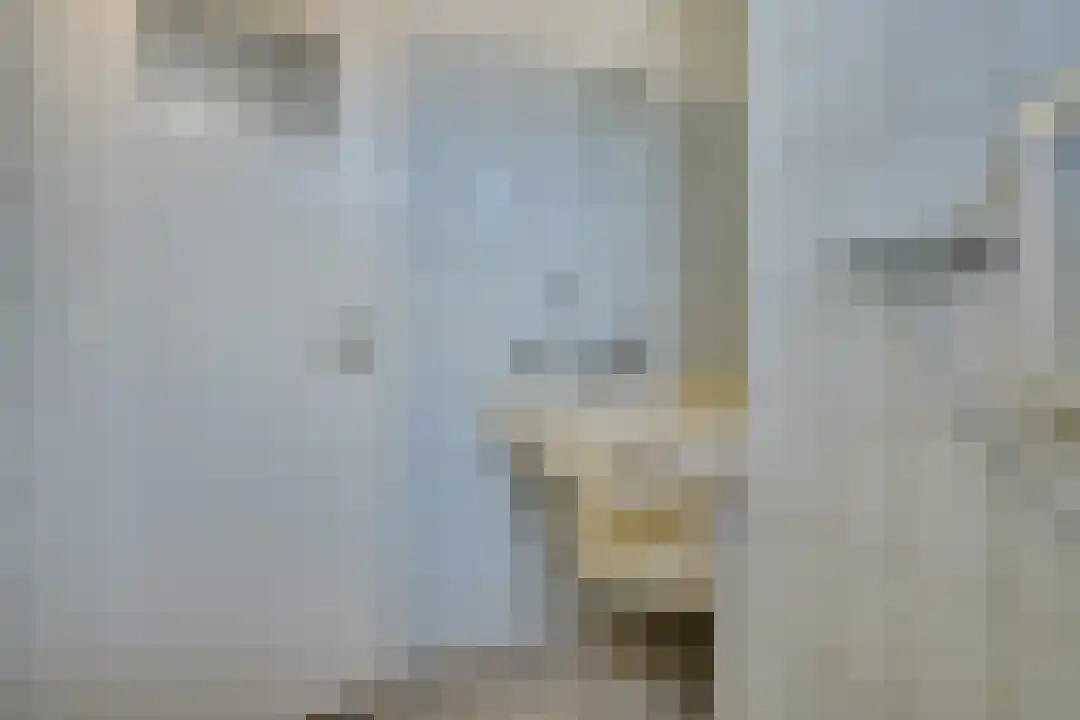 Bosrandweg 27 Schoorl thumbnail 38