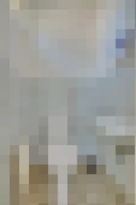 Bosrandweg 27 Schoorl thumbnail 39