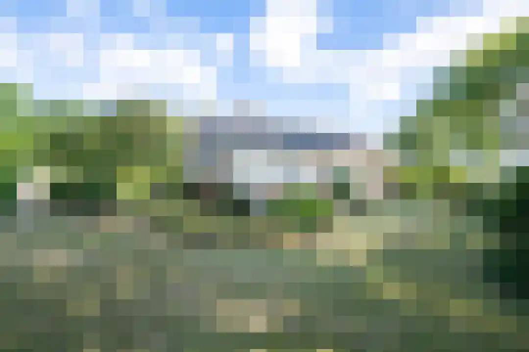 Bosrandweg 27 Schoorl thumbnail 4