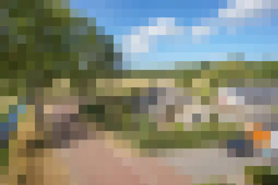 Bosrandweg 27 Schoorl thumbnail 42