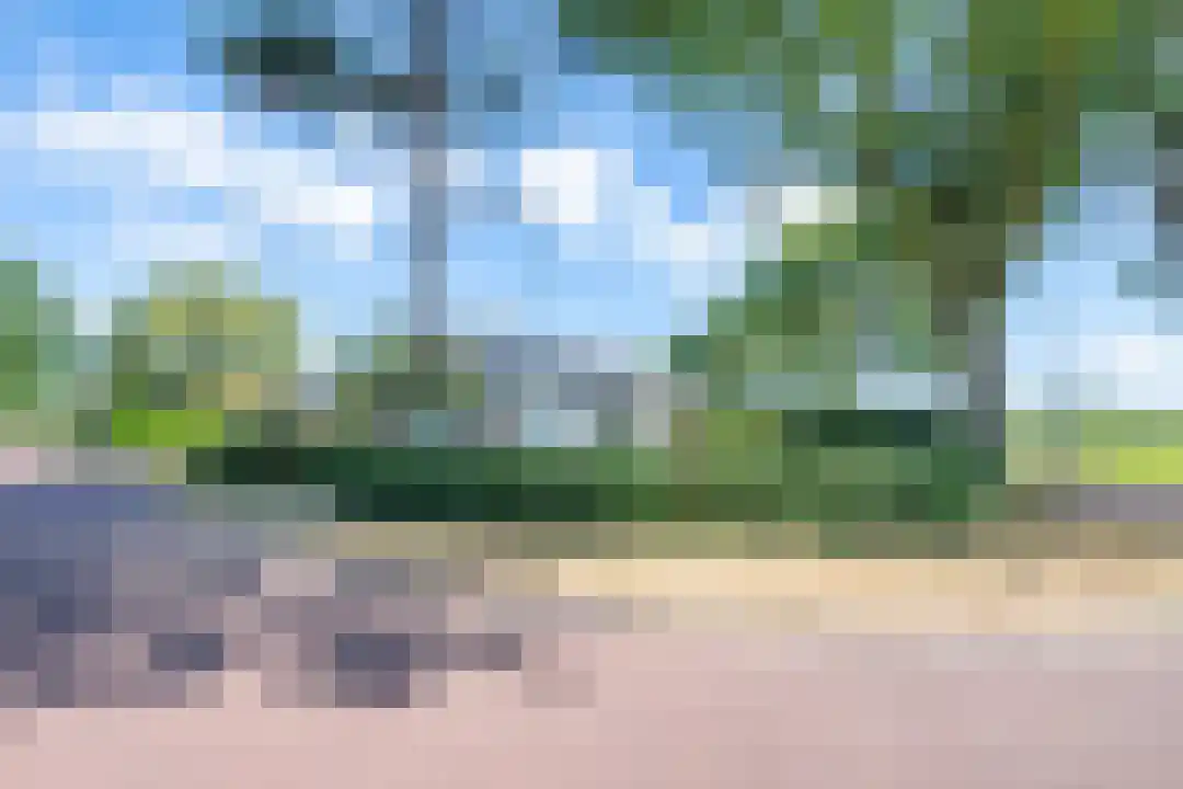 Bosrandweg 27 Schoorl thumbnail 7