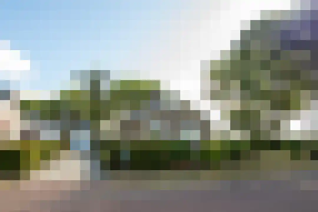 Bosrandweg 27 Schoorl thumbnail 9