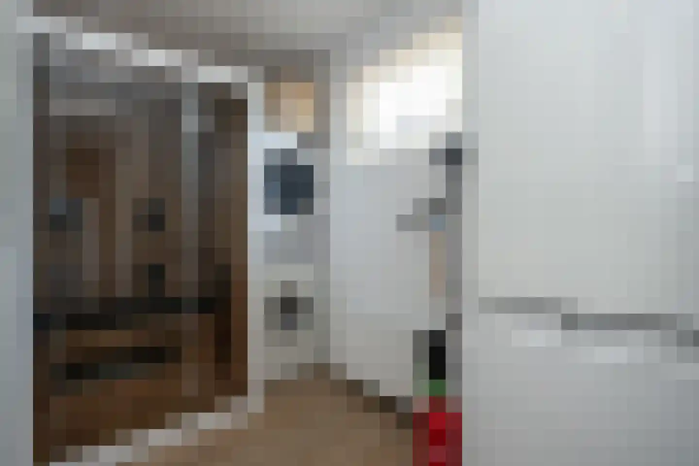 Bosrandweg 313 A De Koog thumbnail 21