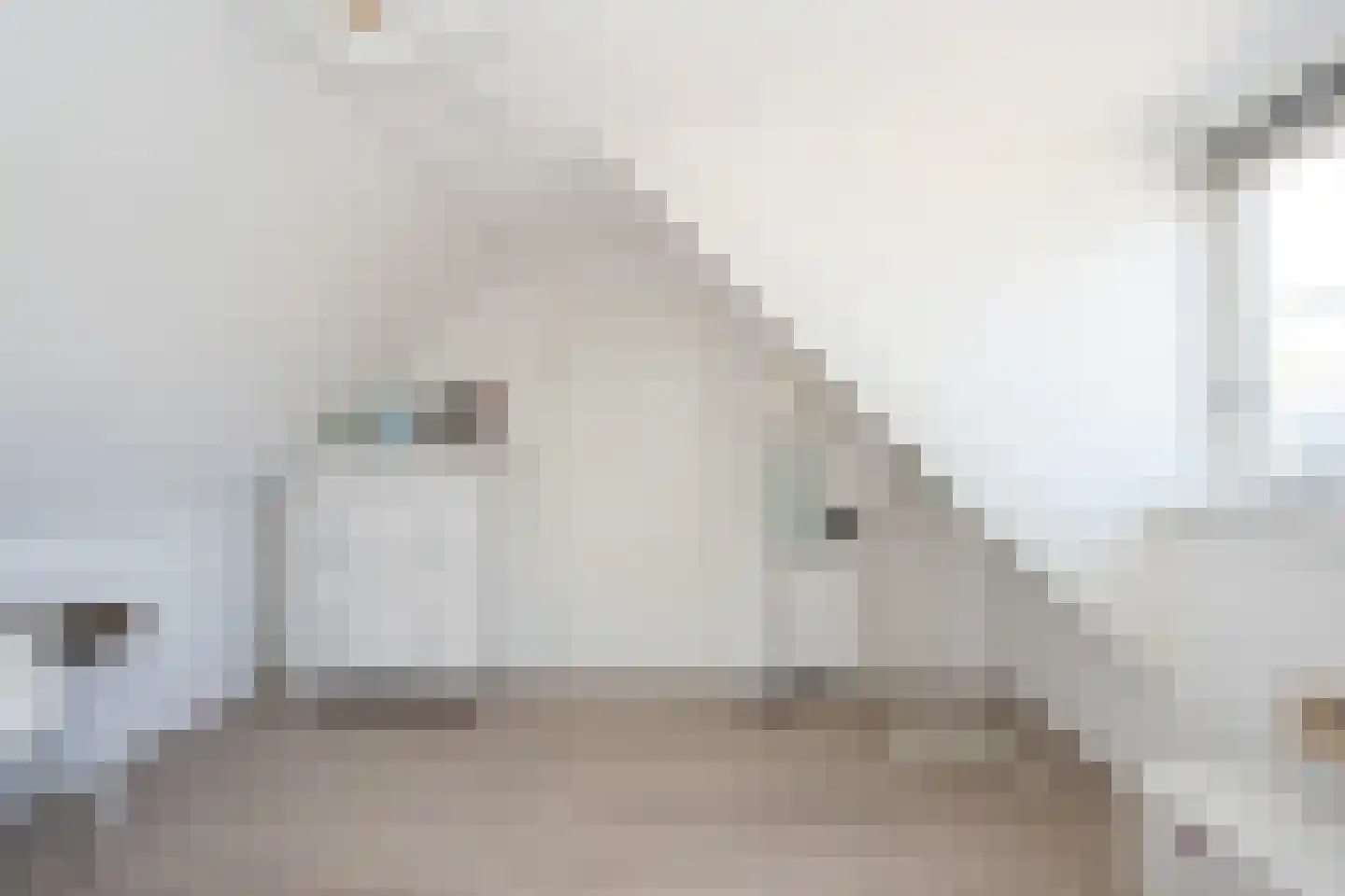 Bosrandweg 313 A De Koog thumbnail 41