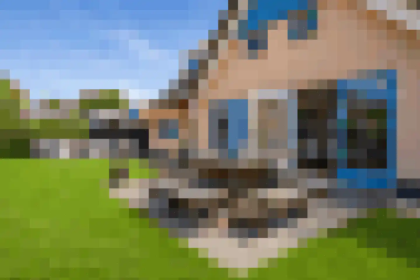 Bosrandweg 313 A De Koog thumbnail 49