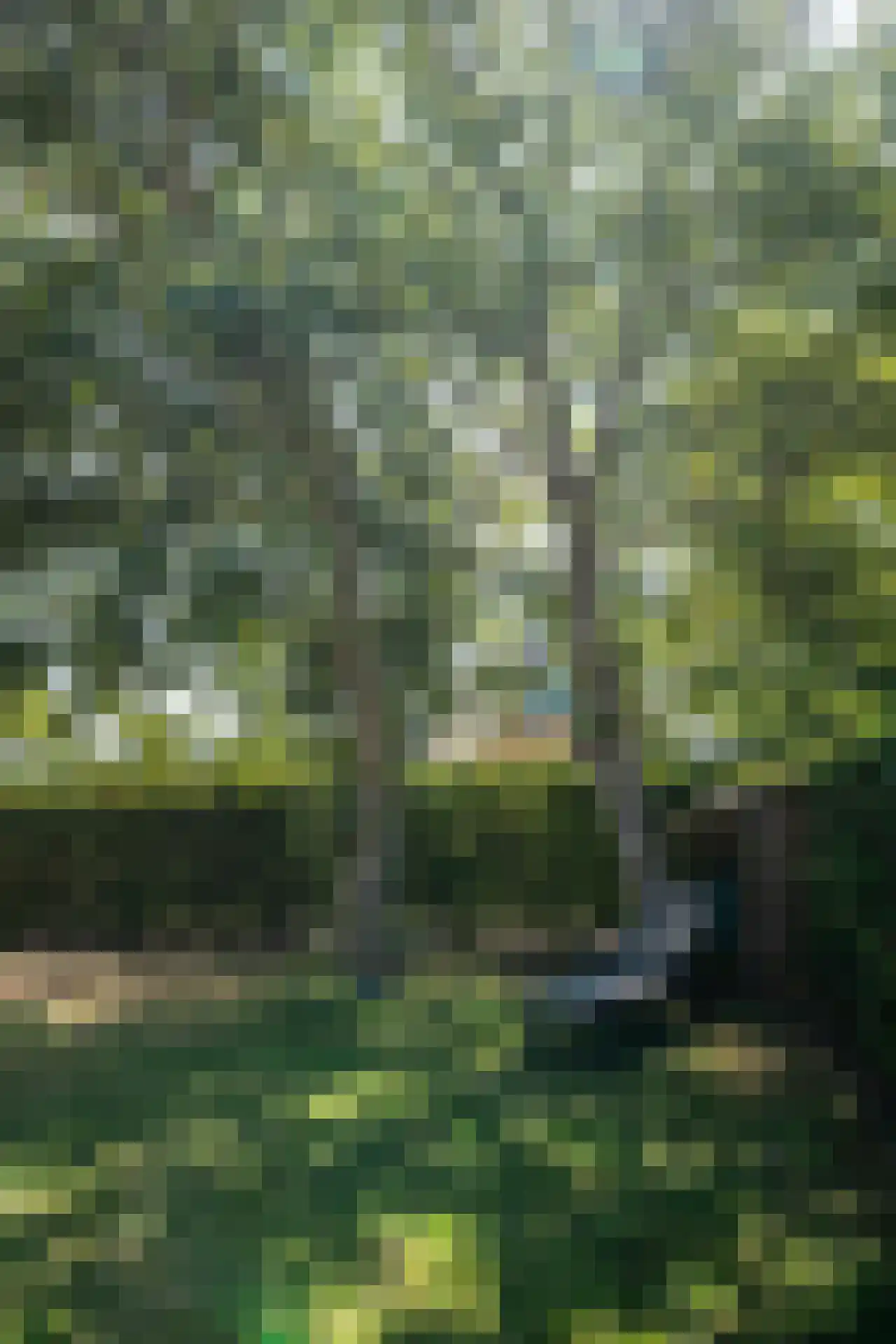 Bosrandweg 313 A De Koog thumbnail 50