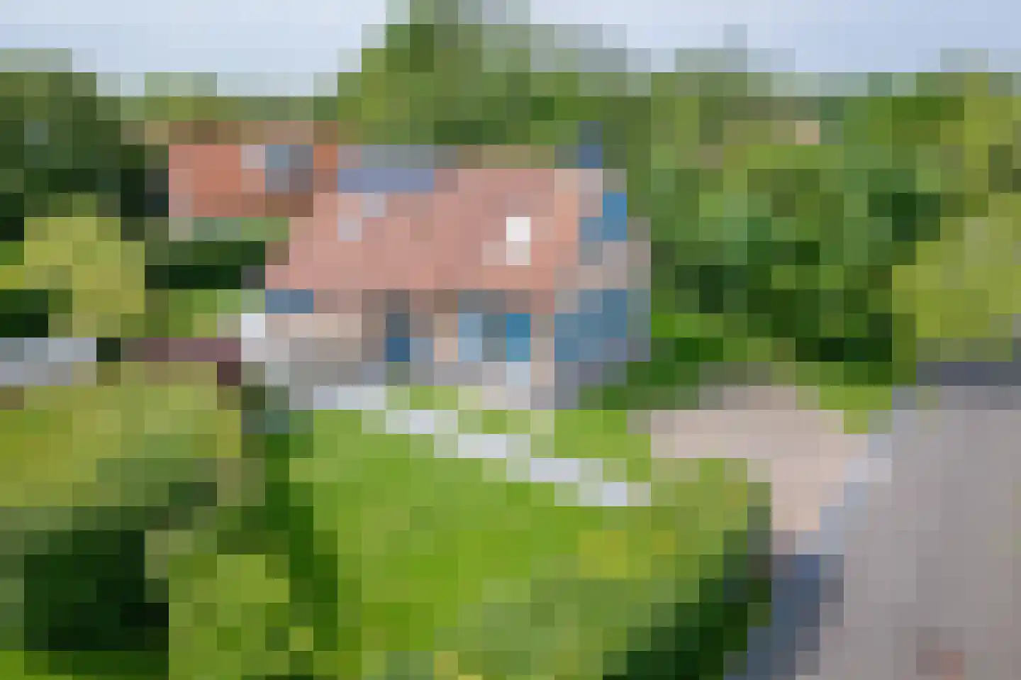 Bosrandweg 319 A De Koog thumbnail 37
