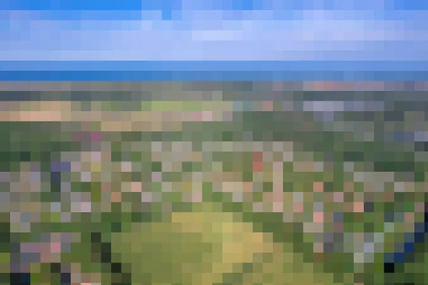 Bosrandweg 319 A De Koog thumbnail 4
