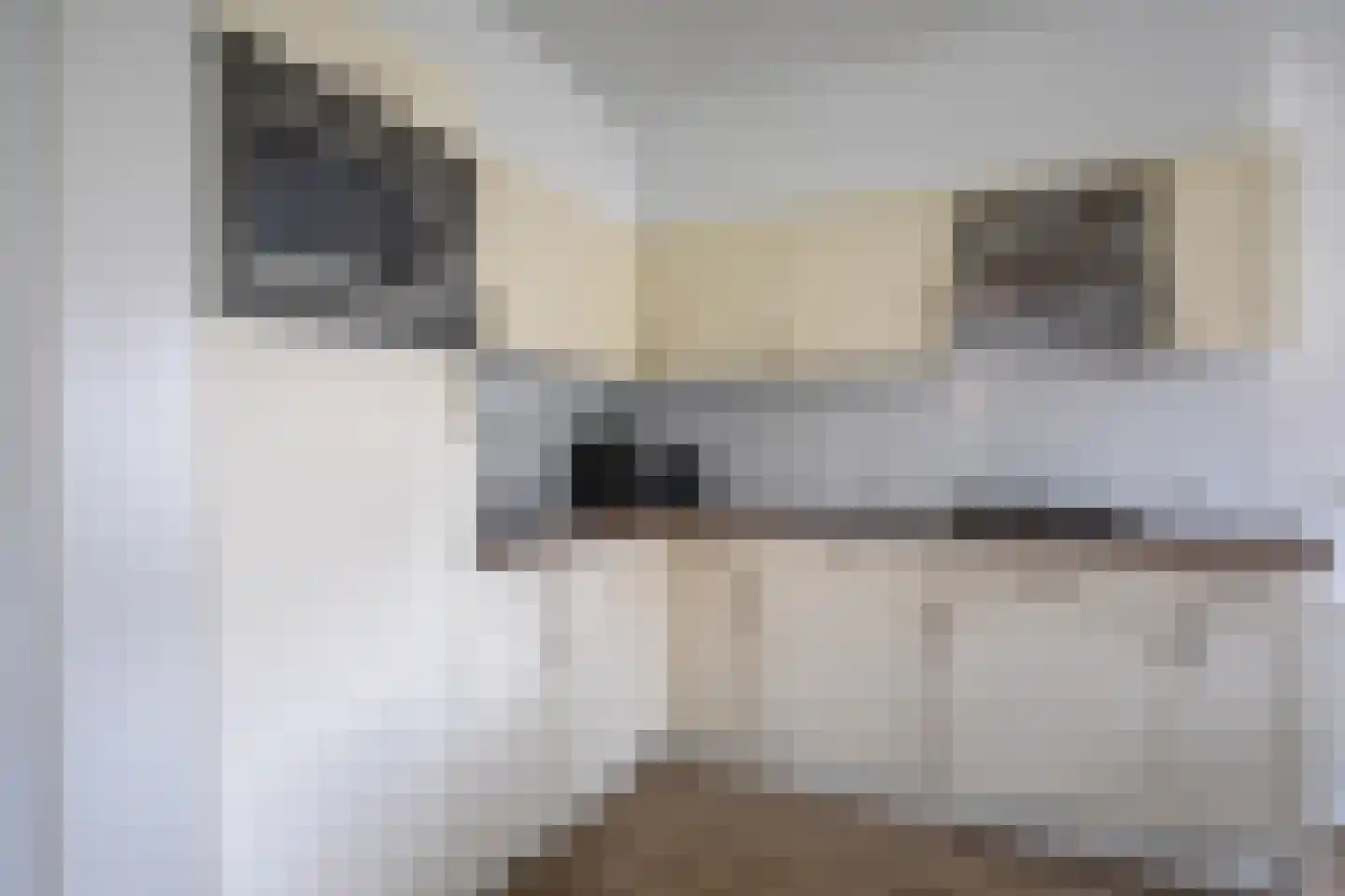 Bosrandweg 323 616 De Koog thumbnail 11