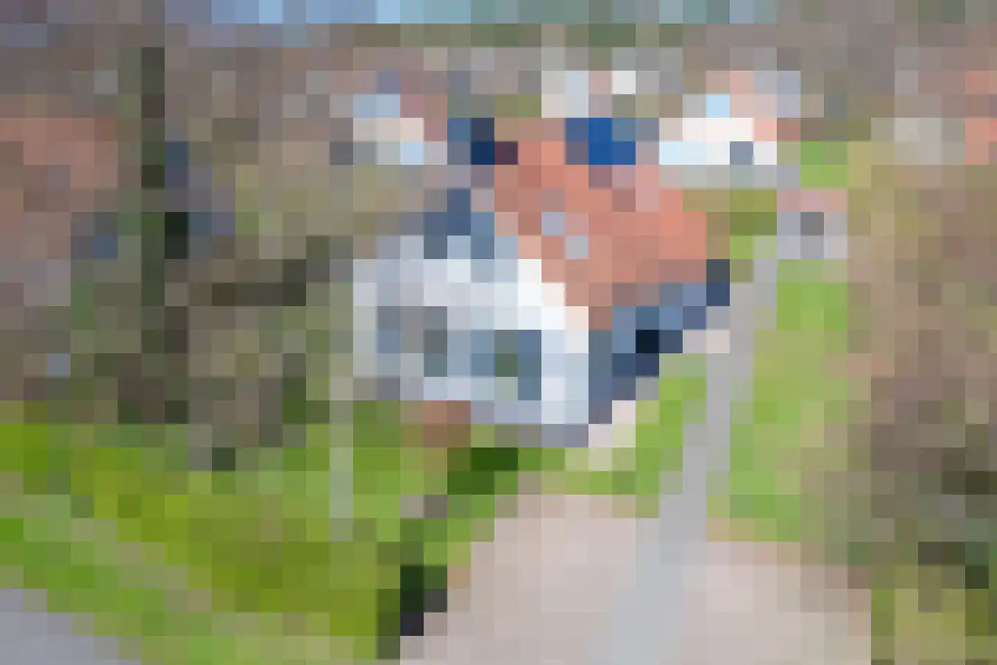 Bosrandweg 323 616 De Koog thumbnail 42