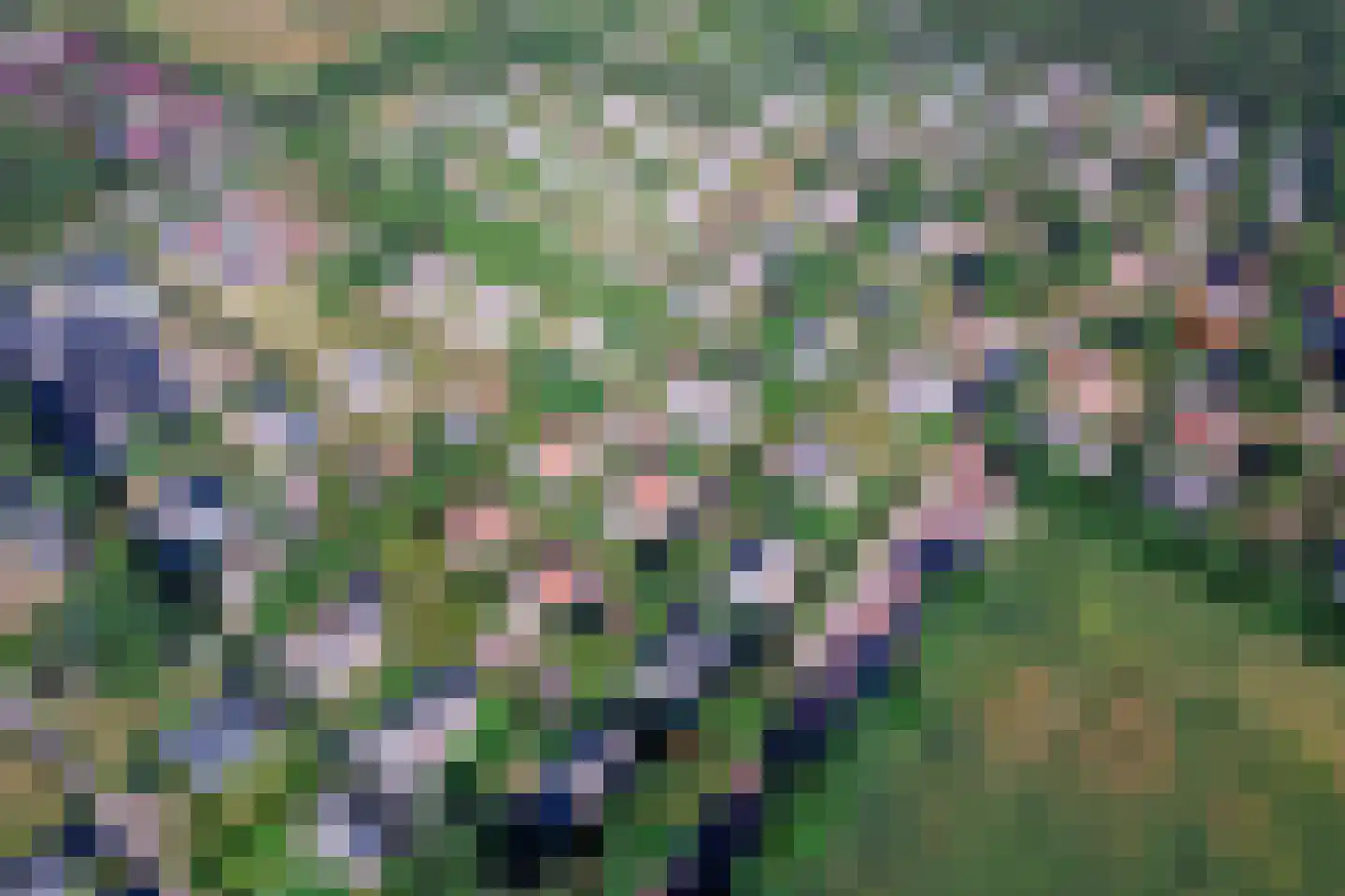Bosrandweg 323 616 De Koog thumbnail 43