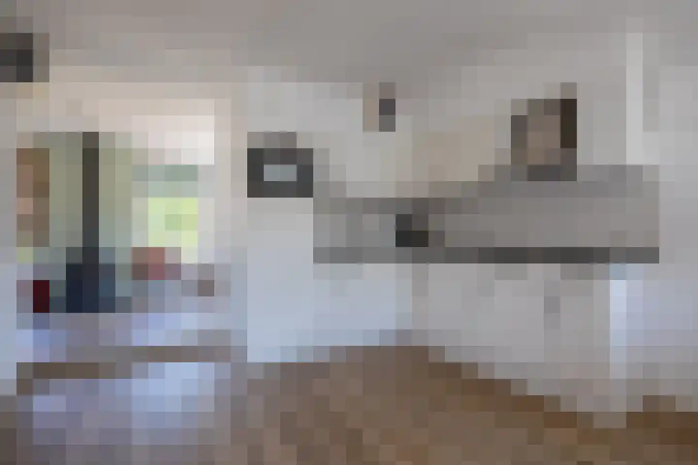 Bosrandweg 369 A513 De Koog thumbnail 10
