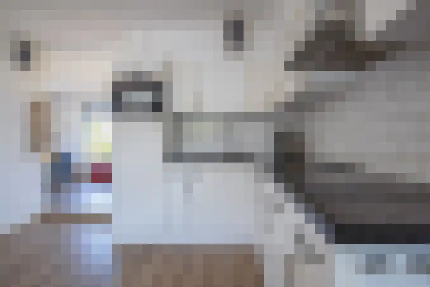Bosrandweg 369 A513 De Koog thumbnail 11