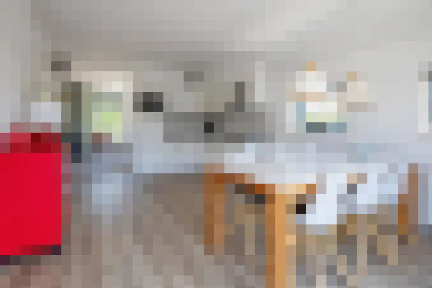 Bosrandweg 369 A513 De Koog thumbnail 12