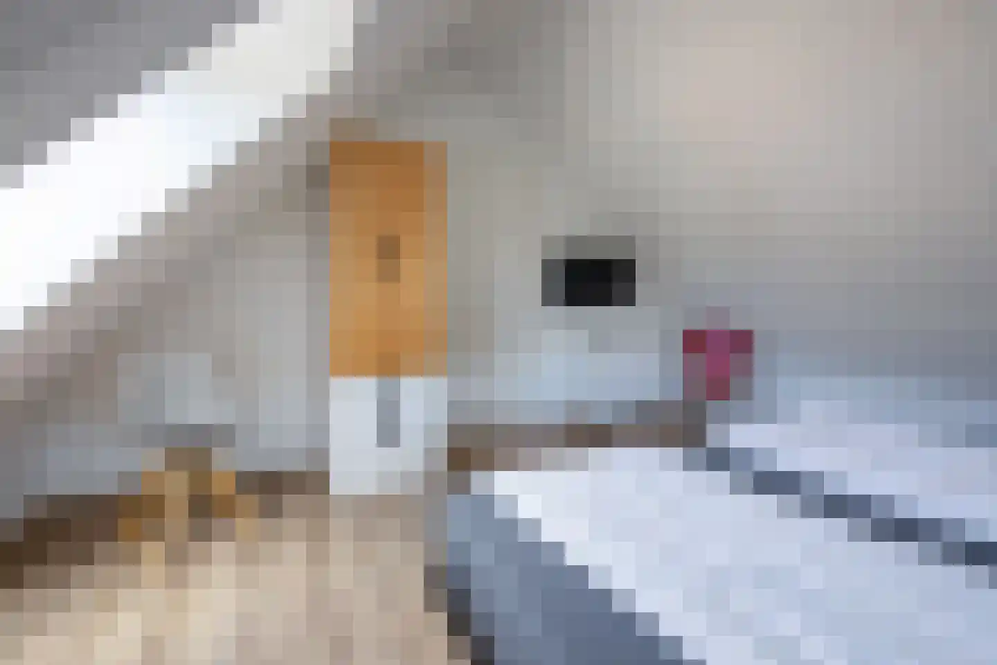 Bosrandweg 369 A513 De Koog thumbnail 23