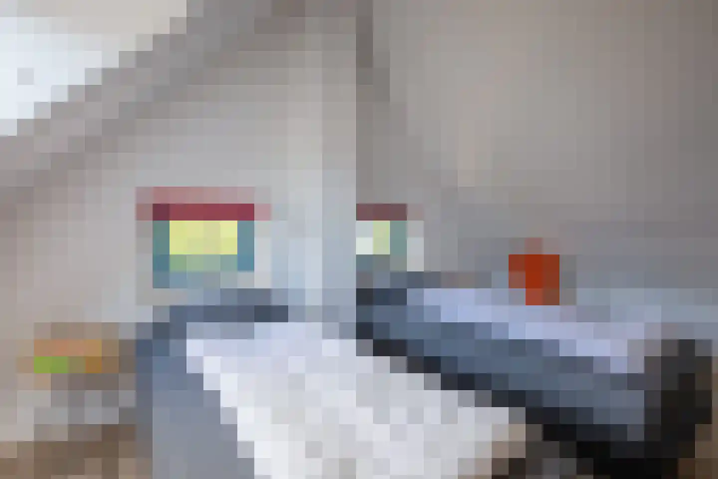 Bosrandweg 369 A513 De Koog thumbnail 26