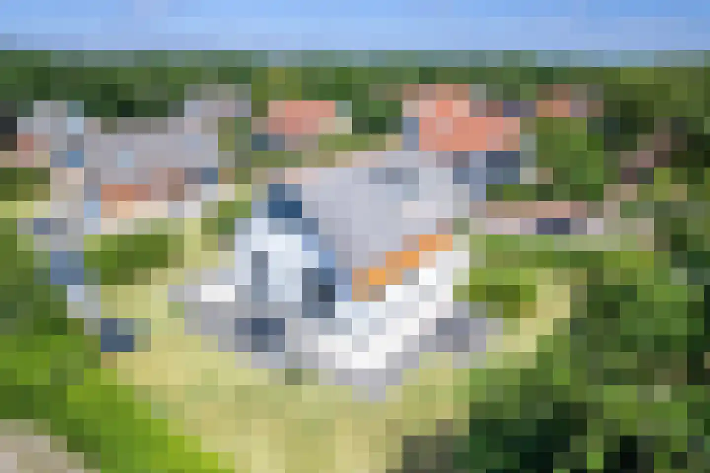 Bosrandweg 369 A513 De Koog thumbnail 40