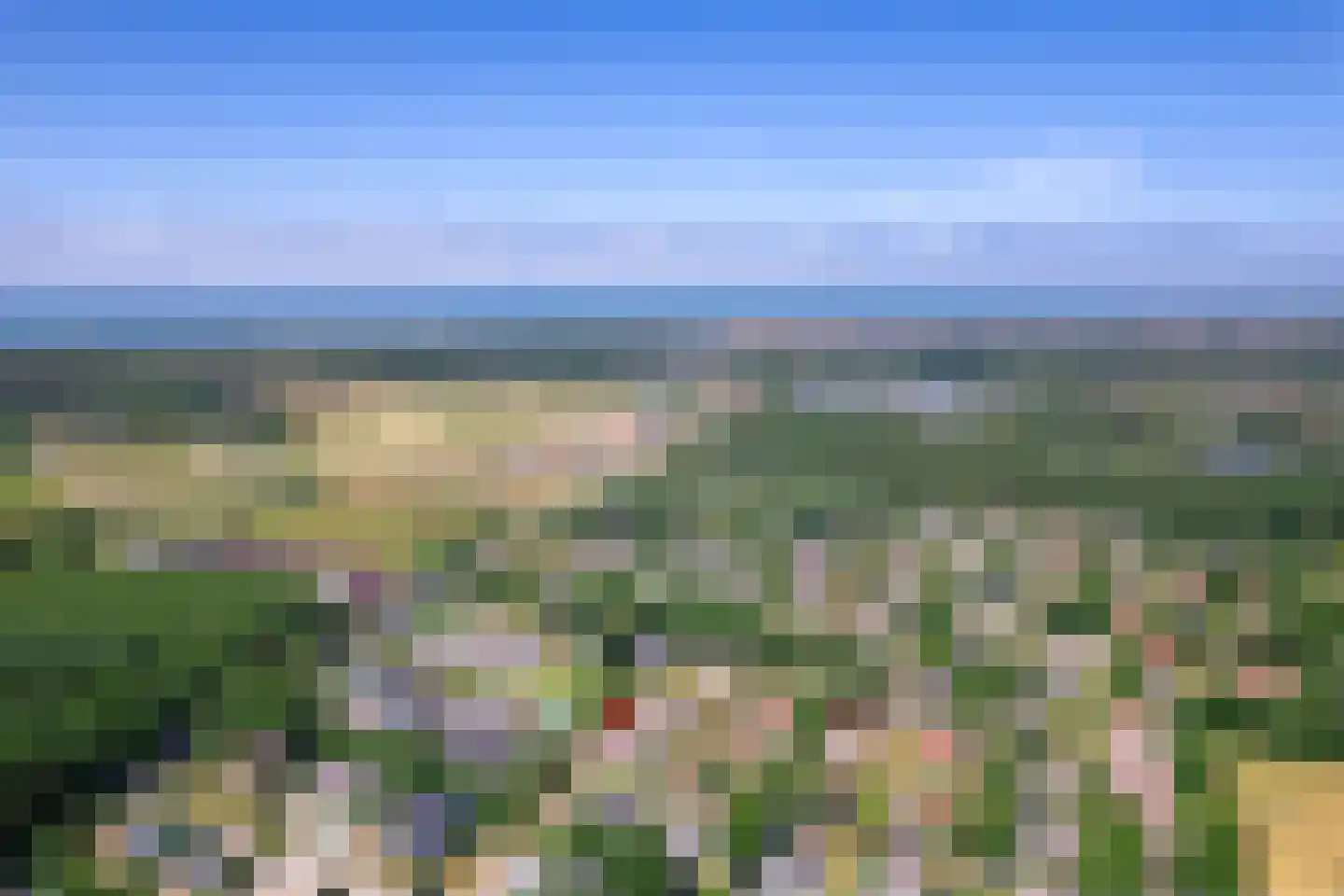 Bosrandweg 369 A513 De Koog thumbnail 41