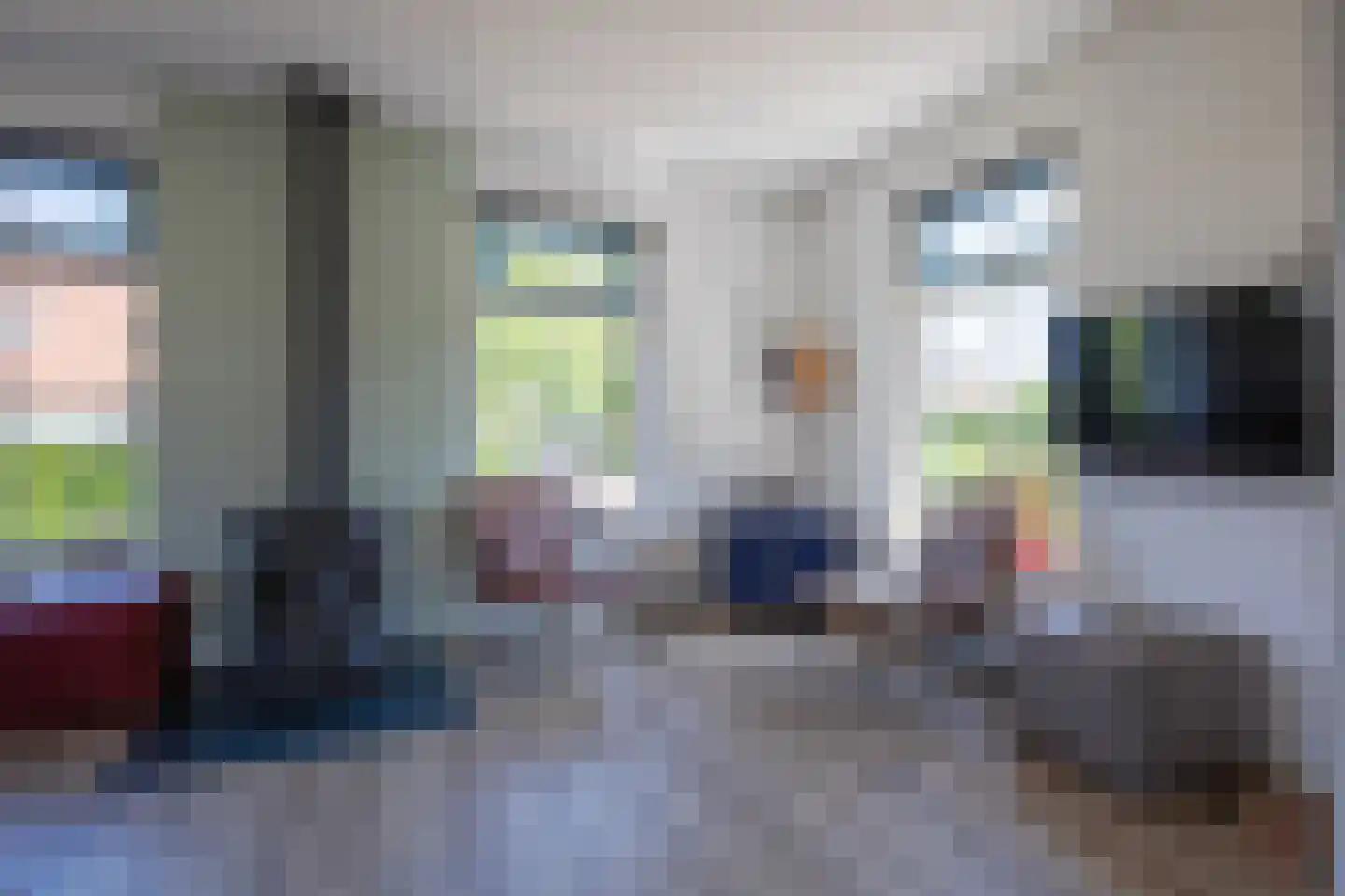 Bosrandweg 369 A513 De Koog thumbnail 6